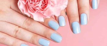 Female hands with manicure on flower on a pink background, top view